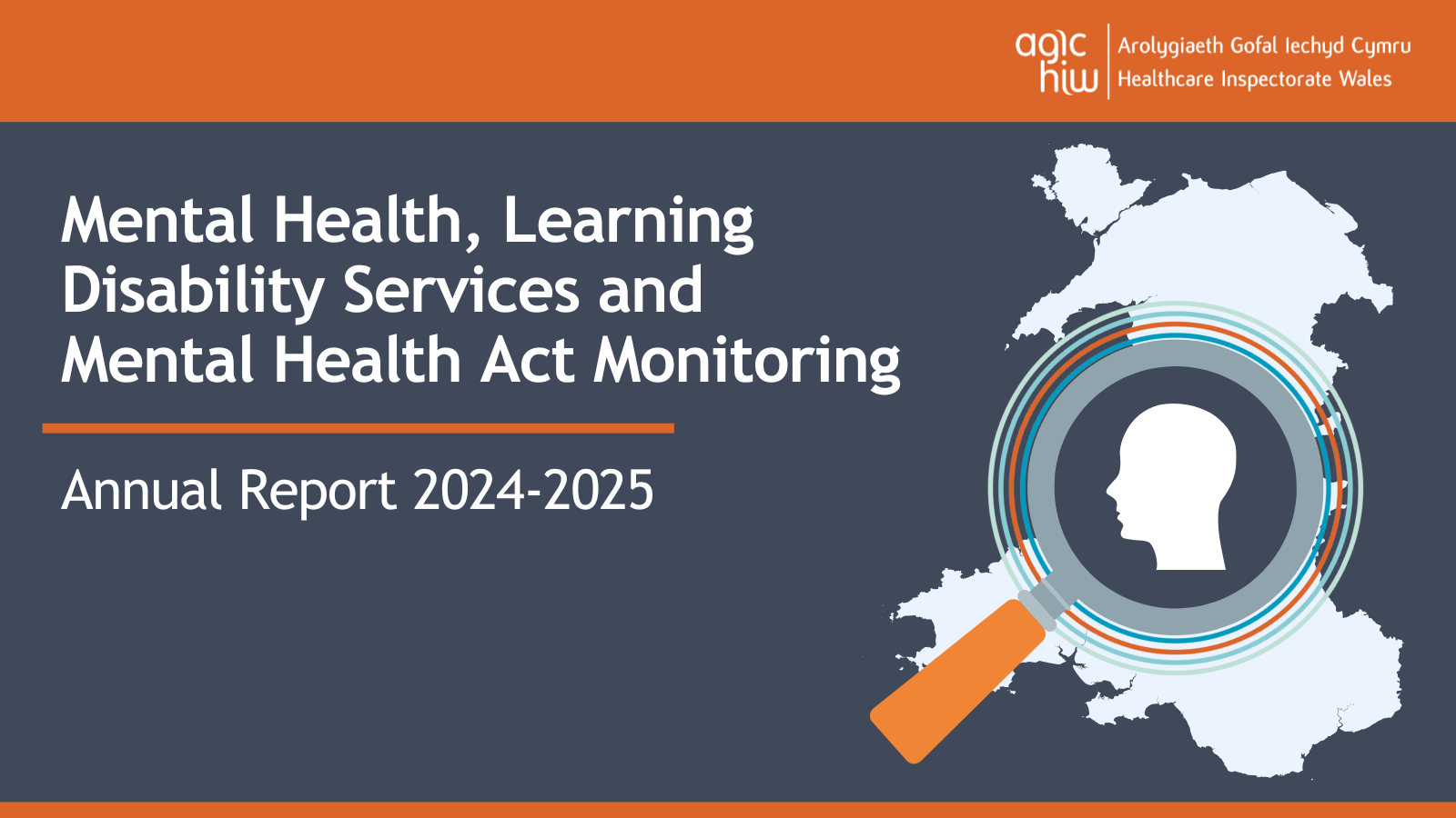 Mental Health, Learning Disability Services and Mental Health Act Monitoring Annual Report 2024-2025