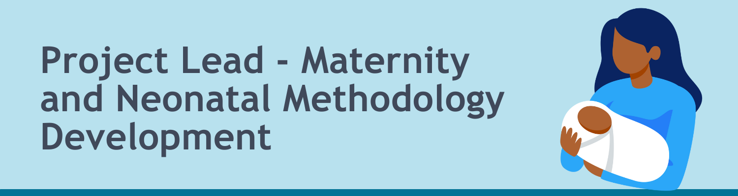 Project Lead - maternity and neonatal methodology development