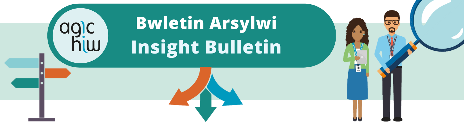 Bwletin Arsylwi Insight Bulletin