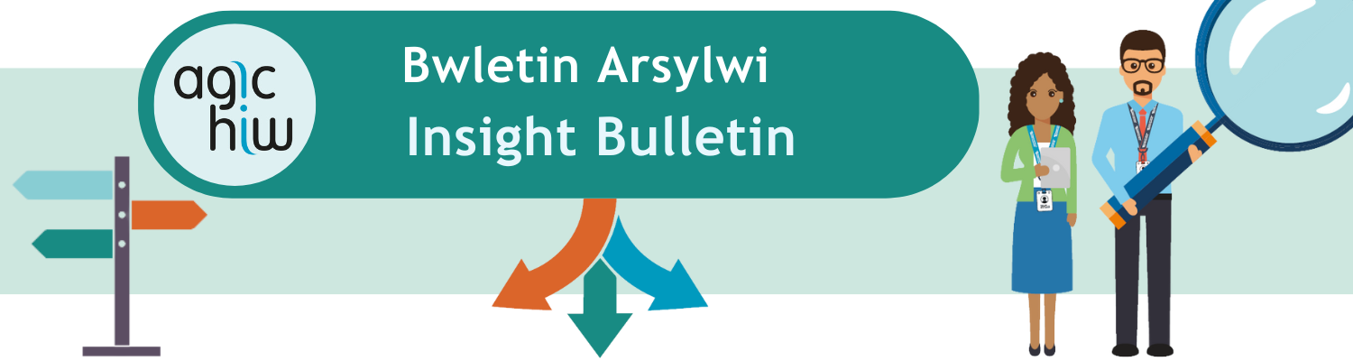 Insight Bulletin / Bwletin Arsylwi